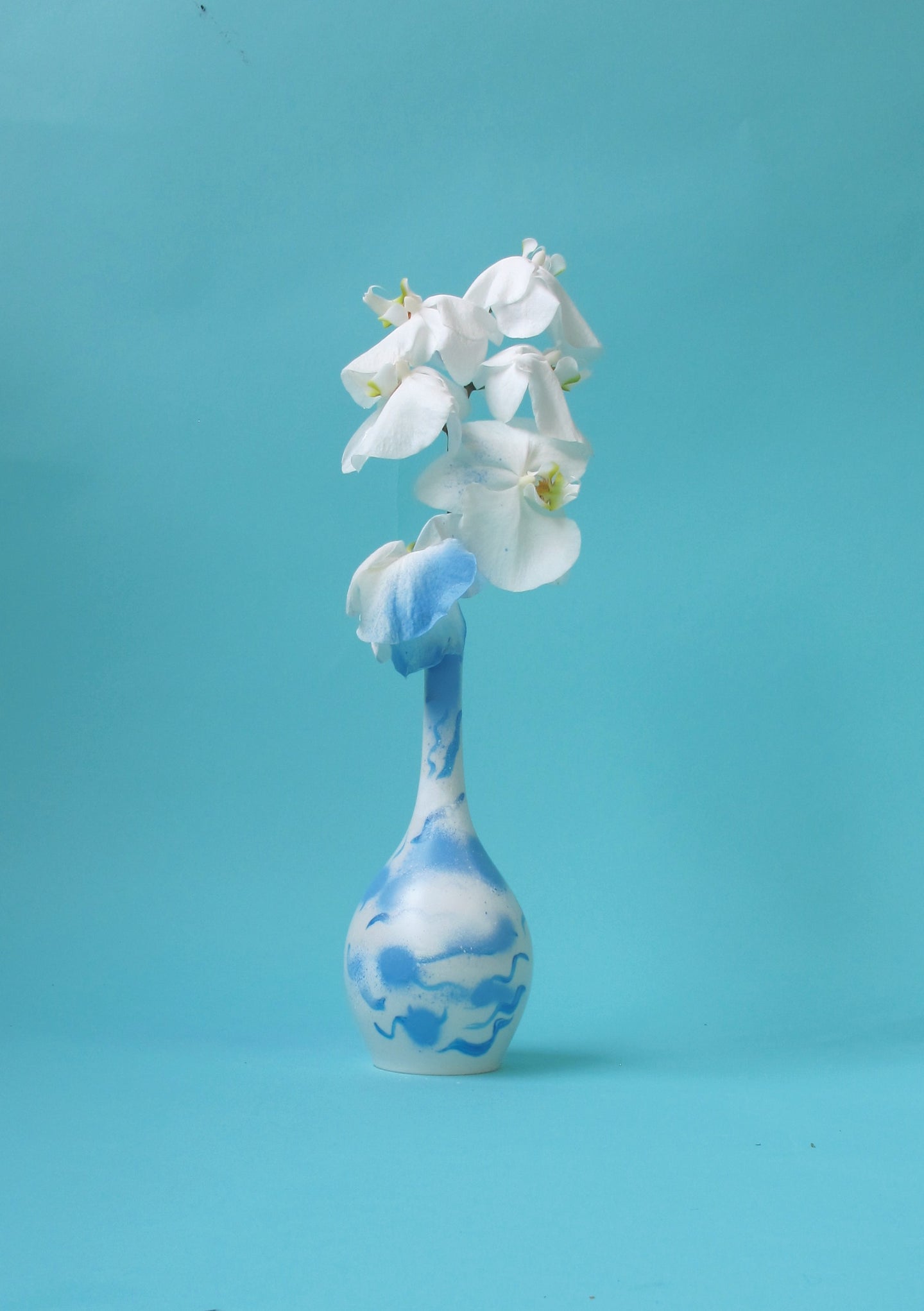 Single Vase 4, aus der Serie time lapse photography 
